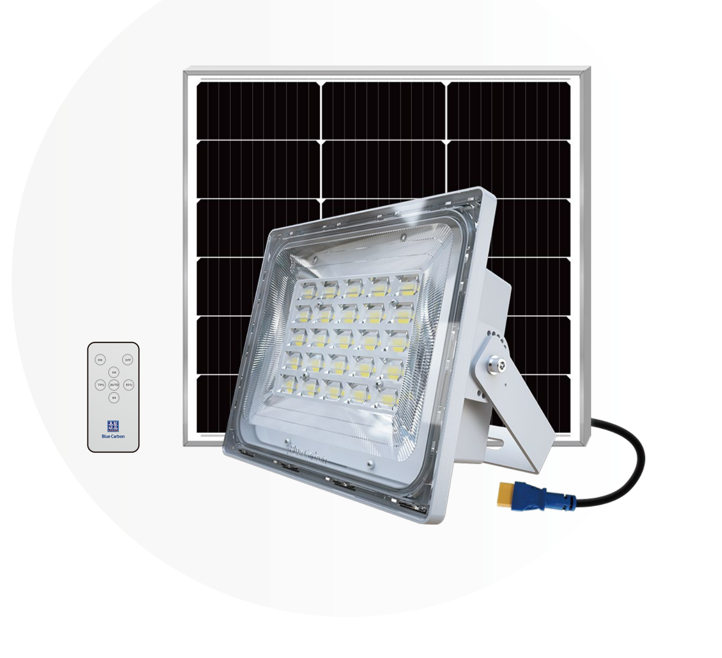 BCT New Solar Flood Light